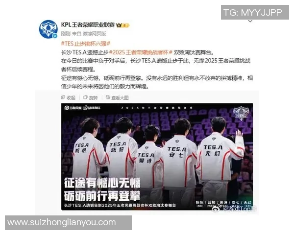 王者荣耀评论分析TES战队包夹策略的成败与启示